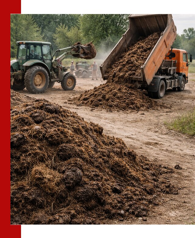 Доставка навоза самосвалами в Ростове-на-Дону для сельхозпотребностей