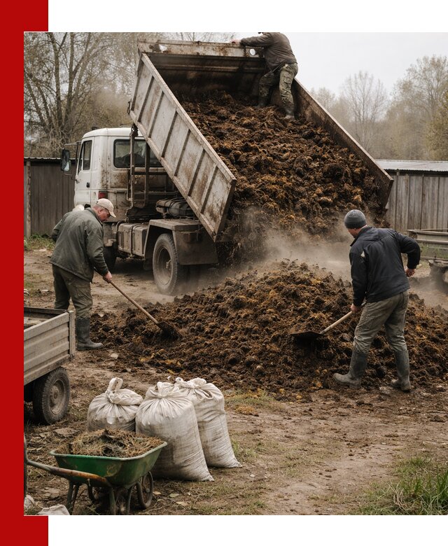 Доставка коровьего навоза самосвалом в Ростове-на-Дону